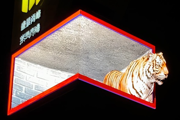  el ojo desnudo 3d llevó la pantalla